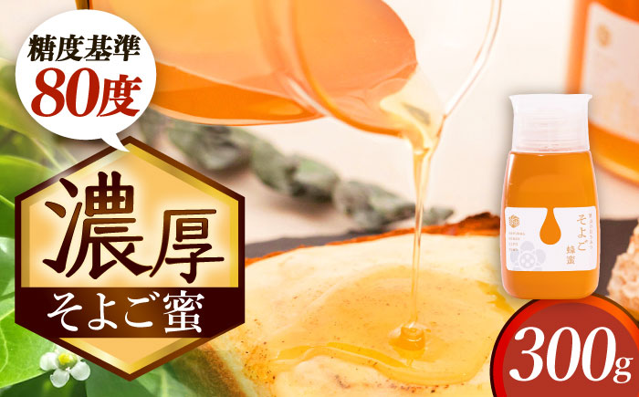自慢のそよご蜜 300g 瑞浪市 / 堀養蜂園 はちみつ 蜂蜜 国産 [AZCF009]