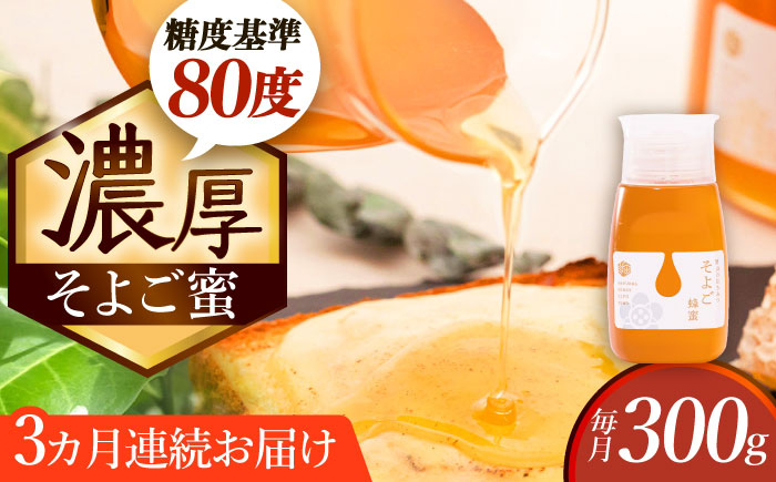【3回定期便】 自慢のそよご蜜 300g 瑞浪市 / 堀養蜂園 はちみつ 蜂蜜 国産 [AZCF010]