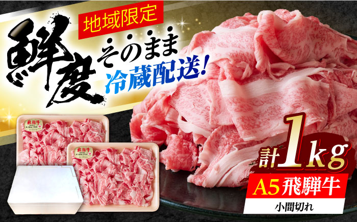 ※冷蔵配送/地域限定※ 飛騨牛 小間切 (大) 500g×2セット 瑞浪市 / きなぁた瑞浪 和牛 国産 岐阜県産 [AZCI027]