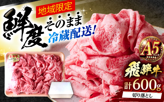 ※冷蔵配送/地域限定※ 飛騨牛 切落し (ロースまたは肩ロース) 600g 瑞浪市 / きなぁた瑞浪 和牛 国産 岐阜県産 [AZCI029]