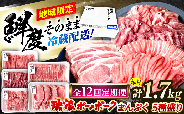 【12回定期便】※冷蔵配送/地域限定※ 岐阜県産 豚 瑞浪ボーノポーク まんぷく 5種盛り 1.7kg (ロースしゃぶしゃぶ・肩ロース焼肉・バラスライス・小間切・ローステキカツ) 瑞浪市 / きなぁた瑞浪 [AZCI040]