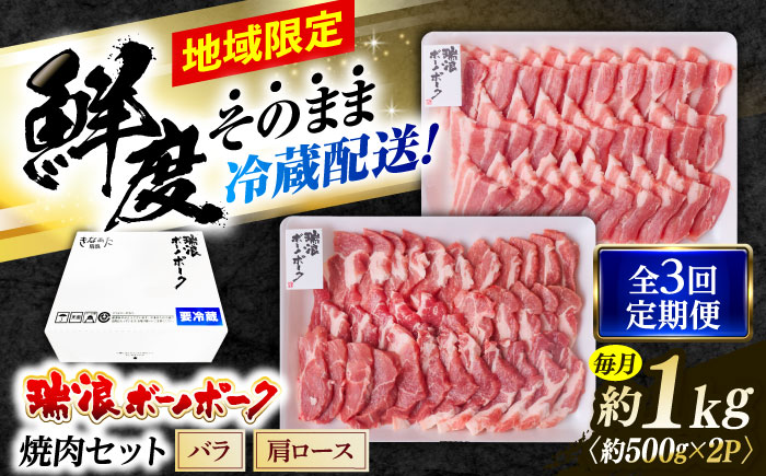 【3回定期便】※冷蔵配送/地域限定※ 岐阜県産 豚 瑞浪ボーノポーク 焼肉セット 1kg (バラ・肩ロース) 瑞浪市 / きなぁた瑞浪 [AZCI047]