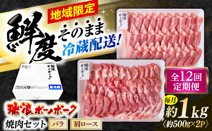 【12回定期便】※冷蔵配送/地域限定※ 岐阜県産 豚 瑞浪ボーノポーク 焼肉セット 1kg (バラ・肩ロース) 瑞浪市 / きなぁた瑞浪 [AZCI049]