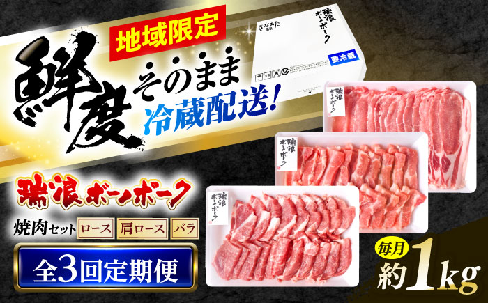 【3回定期便】 ※冷蔵配送/地域限定※ 岐阜県産 豚 瑞浪ボーノポーク 焼肉 1kg 食べ比べセット (ロース・肩ロース・バラ) 瑞浪市 / きなぁた瑞浪 [AZCI056]