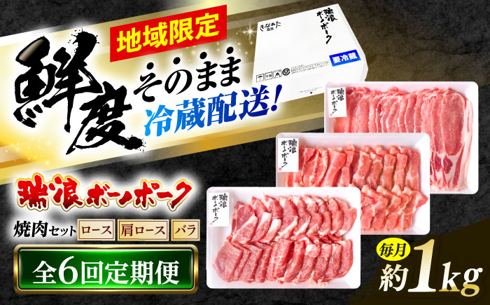 【6回定期便】 ※冷蔵配送/地域限定※ 岐阜県産 豚 瑞浪ボーノポーク 焼肉 1kg 食べ比べセット (ロース・肩ロース・バラ) 瑞浪市 / きなぁた瑞浪 [AZCI057]