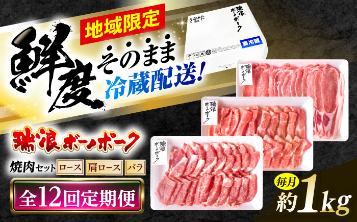 【12回定期便】 ※冷蔵配送/地域限定※ 岐阜県産 豚 瑞浪ボーノポーク 焼肉 1kg 食べ比べセット (ロース・肩ロース・バラ) 瑞浪市 / きなぁた瑞浪 [AZCI058]