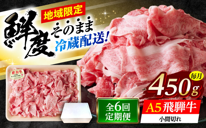 【6回定期便】 ※冷蔵配送/地域限定※ 飛騨牛 小間切 450g 瑞浪市 / きなぁた瑞浪 和牛 国産 岐阜県産 [AZCI069]