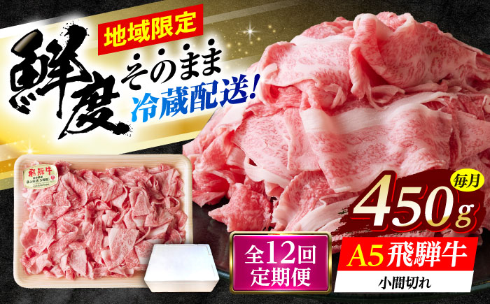 【12回定期便】 ※冷蔵配送/地域限定※ 飛騨牛 小間切 450g 瑞浪市 / きなぁた瑞浪 和牛 国産 岐阜県産 [AZCI070]