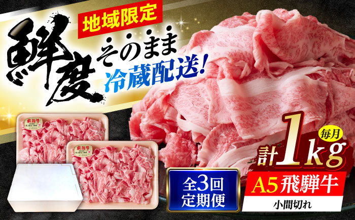 【3回定期便】 ※冷蔵配送/地域限定※ 飛騨牛 小間切 (大) 500g×2セット 瑞浪市 / きなぁた瑞浪 和牛 国産 岐阜県産 [AZCI071]