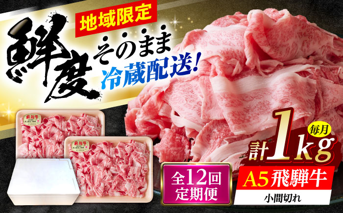 【12回定期便】 ※冷蔵配送/地域限定※ 飛騨牛 小間切 (大) 500g×2セット 瑞浪市 / きなぁた瑞浪 和牛 国産 岐阜県産 [AZCI073]