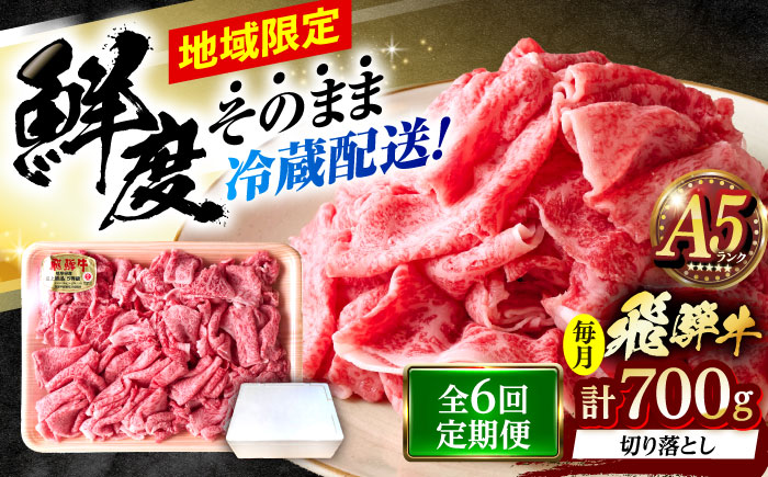 【6回定期便】 ※冷蔵配送/地域限定※ 飛騨牛 切落し (モモまたはカタ) 700g 瑞浪市 / きなぁた瑞浪 和牛 国産 岐阜県産 [AZCI075]