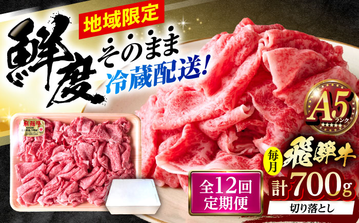 【12回定期便】 ※冷蔵配送/地域限定※ 飛騨牛 切落し (モモまたはカタ) 700g 瑞浪市 / きなぁた瑞浪 和牛 国産 岐阜県産 [AZCI076]