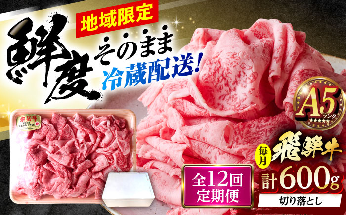 【12回定期便】 ※冷蔵配送/地域限定※ 飛騨牛 切落し (ロースまたは肩ロース) 600g 瑞浪市 / きなぁた瑞浪 和牛 国産 岐阜県産 [AZCI079]
