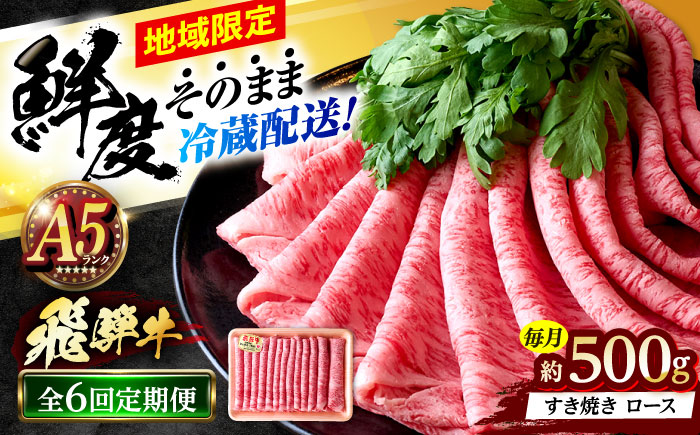 【6回定期便】 ※冷蔵配送/地域限定※ 飛騨牛 ロース すき焼き用 500g 瑞浪市 / きなぁた瑞浪 和牛 国産 岐阜県産 [AZCI084]