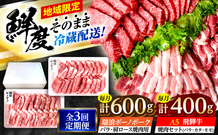 【3回定期便】 ※冷蔵配送/地域限定※ 飛騨牛 ボーノポーク 焼肉セット 合計1kg 瑞浪市 / きなぁた瑞浪 和牛 国産 岐阜県産 [AZCI095]