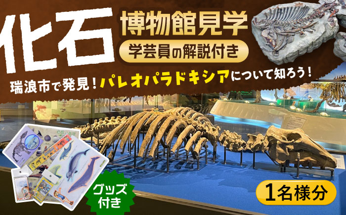 瑞浪市化石博物館 パレオパラドキシアコーナー 学芸員の解説付き見学ツアー(1名様) ＆ グッズセット 瑞浪市 [AZCJ001]