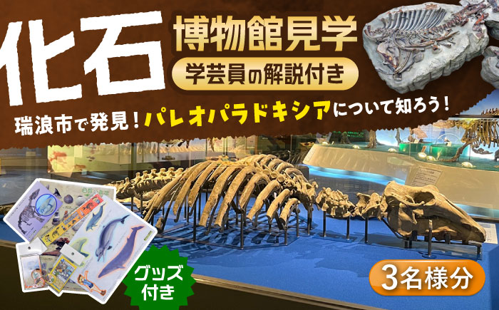 瑞浪市化石博物館 パレオパラドキシアコーナー 学芸員の解説付き見学ツアー(3名様) ＆ グッズセット 瑞浪市 [AZCJ003]