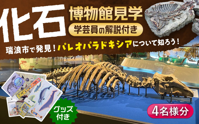 瑞浪市化石博物館 パレオパラドキシアコーナー 学芸員の解説付き見学ツアー(4名様) ＆ グッズセット 瑞浪市 [AZCJ004]