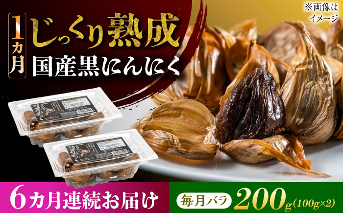【6回定期便】 国産熟成 黒にんにく 200g (100g×2) バラ 瑞浪市 / 国産ムラセの熟成黒にんにく 青森県産 ニンニク [AZCO014] 6回定期便