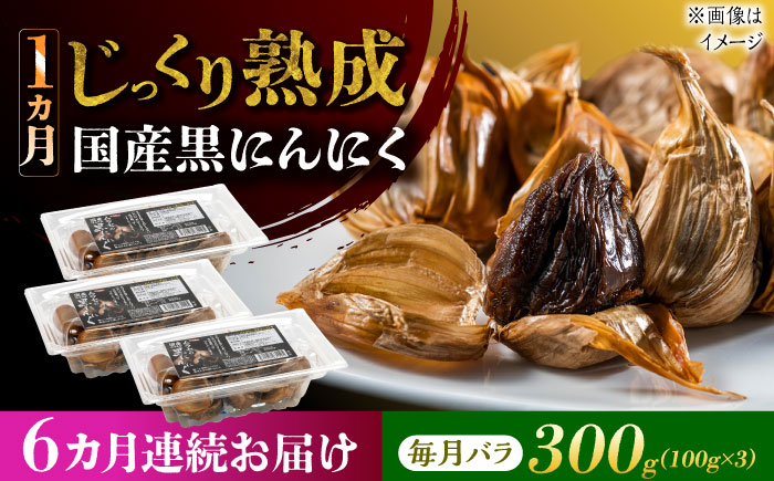 【6回定期便】 国産熟成 黒にんにく 300g (100g×3) バラ 瑞浪市 / 国産ムラセの熟成黒にんにく 青森県産 ニンニク [AZCO017] 6回定期便