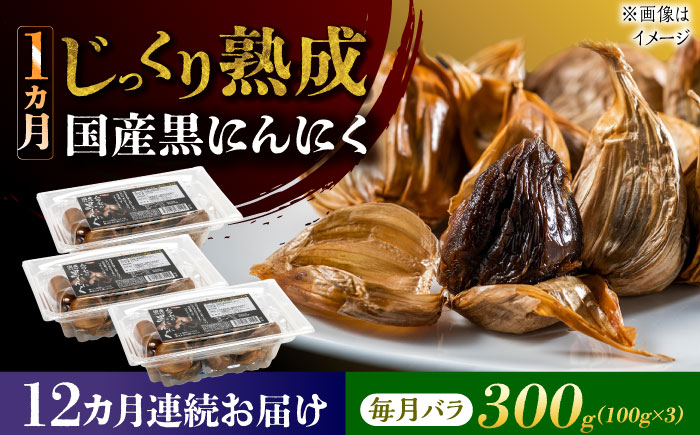 【12回定期便】 国産熟成 黒にんにく 300g (100g×3) バラ 瑞浪市 / 国産ムラセの熟成黒にんにく 青森県産 ニンニク [AZCO018] 12回定期便