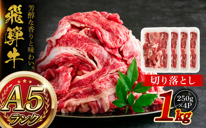 A5等級 飛騨牛 切り落とし 1kg (250g×4P) 瑞浪市 / マルチョウ渡辺精肉店 牛肉 和牛 国産 ギフト お取り寄せ [AZCW002]
