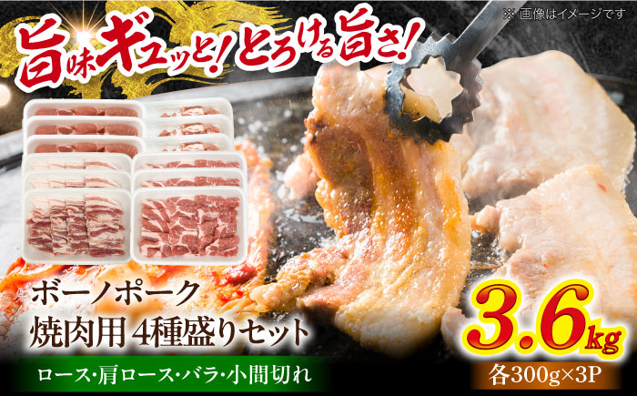 瑞浪ボーノポーク 焼肉用 4種盛りセット (ロース・肩ロース・バラ・小間切れ) 計3.6kg 瑞浪市 / マルチョウ渡辺精肉店 冷凍 小分け 豚肉 国産 [AZCW040] 3.6kg