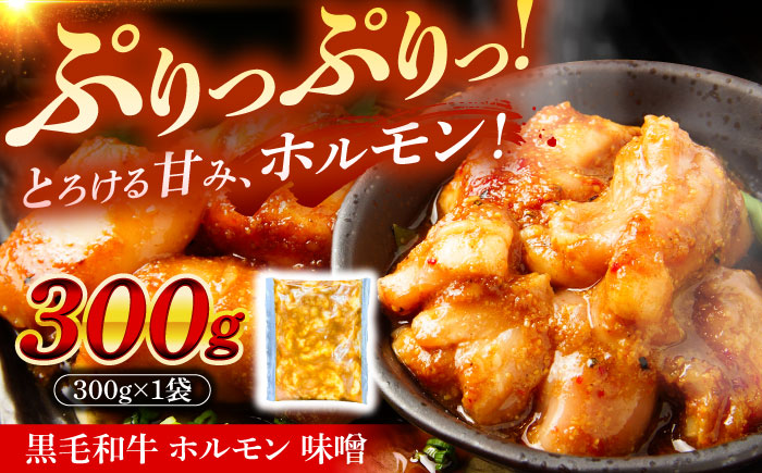 岐阜県産 黒毛和牛ホルモン 味噌 300g （300g×1袋） 瑞浪市 / マルチョウ渡辺精肉店 和牛ホルモン 焼肉 炒め 国産 [AZCW052] 300g （300g×1袋）