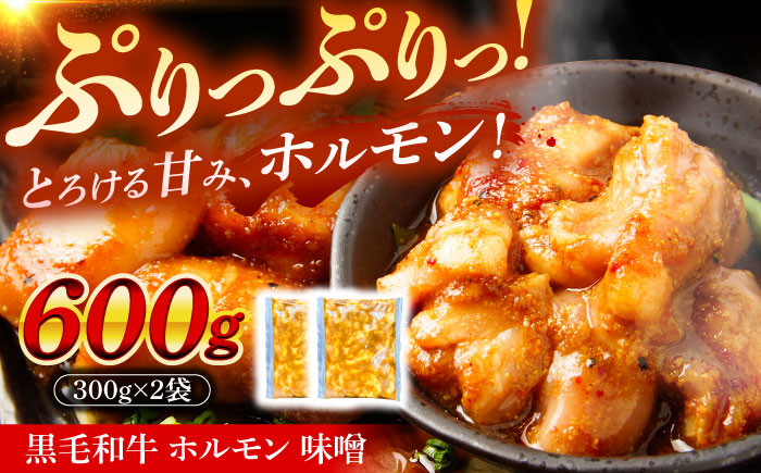 岐阜県産 黒毛和牛ホルモン 味噌 600g （300g×2袋） 瑞浪市 / マルチョウ渡辺精肉店 和牛ホルモン 焼肉 炒め 国産 [AZCW053] 600g （300g×2袋）