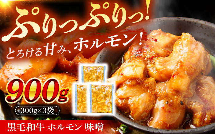 岐阜県産 黒毛和牛ホルモン 味噌 900g （300g×3袋） 瑞浪市 / マルチョウ渡辺精肉店 和牛ホルモン 焼肉 炒め 国産 [AZCW054] 900g （300g×3袋）