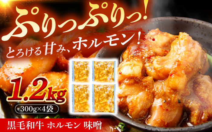 岐阜県産 黒毛和牛ホルモン 味噌 1.2kg （300g×4袋） 瑞浪市 / マルチョウ渡辺精肉店 和牛ホルモン 焼肉 炒め 国産 [AZCW055] 1.2kg （300g×4袋）