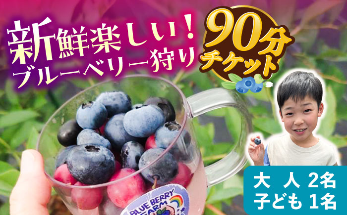 ブルーベリーファーム瑞浪 ブルーベリー狩り 90分 大人(中学生以上)2名様 ・ 子ども(小学生)1名様 チケット [AZCX002]