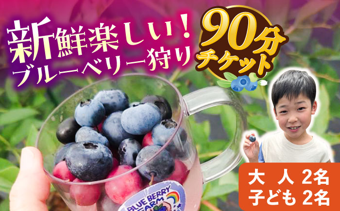 ブルーベリーファーム瑞浪 ブルーベリー狩り 90分 大人(中学生以上)2名様 ・ 子ども(小学生)2名様 チケット [AZCX003]