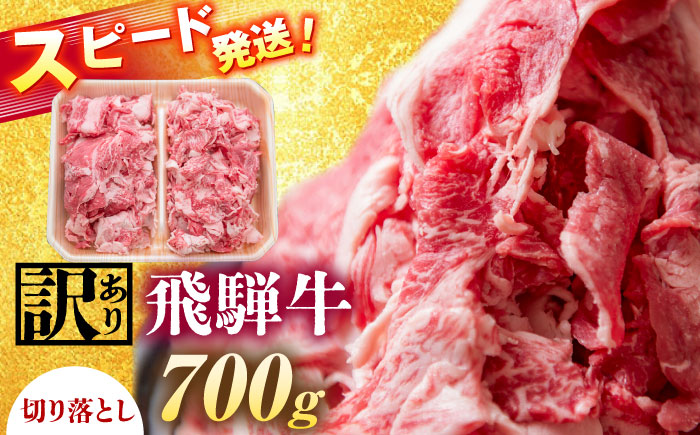 飛騨牛 切り落とし 700g 瑞浪市 / 冷凍 赤身 和牛 訳あり ギフト [AZDB001] 700g