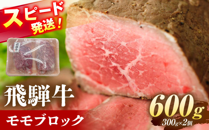 飛騨牛 モモ ブロック 600g (300g×2個) 瑞浪市 /  冷凍 赤身 和牛 ギフト [AZDB009] 600g