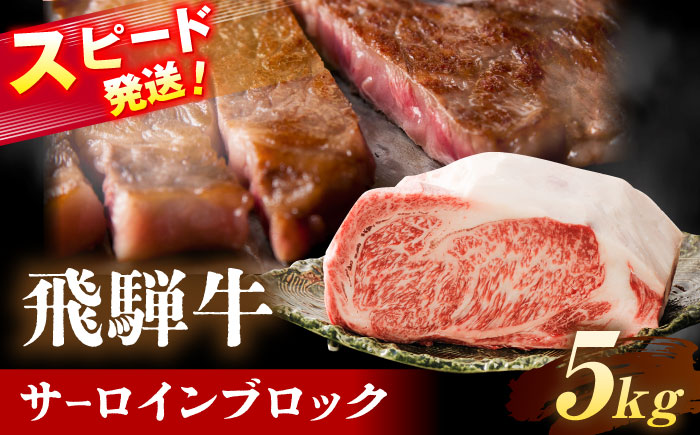 飛騨牛 サーロイン ブロック 5kg 瑞浪市 /  冷凍 和牛 ギフト [AZDB014]