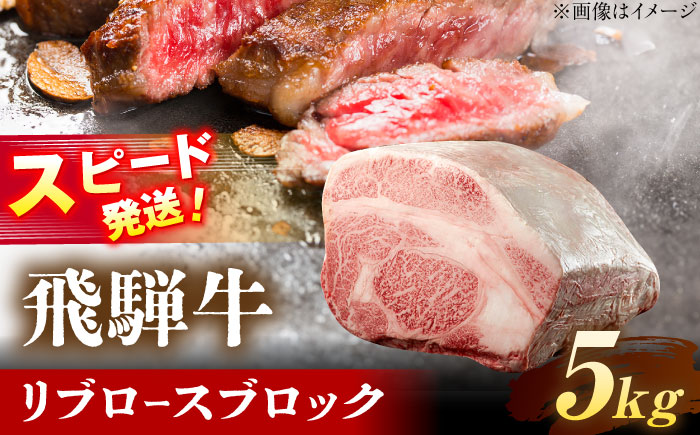 飛騨牛 リブロース ブロック 5kg 瑞浪市 /  冷凍 和牛 ギフト [AZDB015]