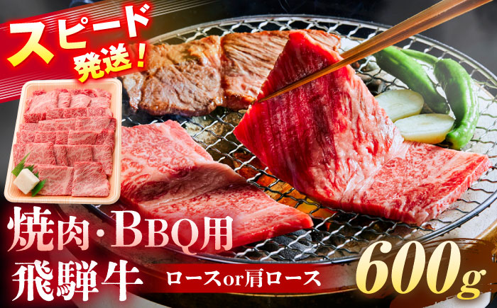 飛騨牛 焼肉 BBQ用 600ｇ 瑞浪市 /  冷凍 ロース 肩ロース 和牛 ギフト [AZDB016]