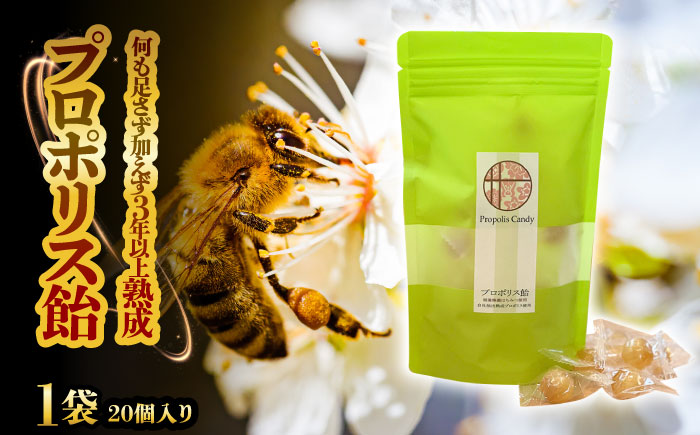プロポリス飴 1袋 20個入り 瑞浪市 / 株式会社サンビートゥエンティーワン プロポリス 飴 蜂 [AZDK002]