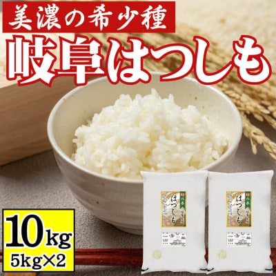 [美濃の希少種]白米 はつしも 10kg(5kg×2袋) 岐阜県産 令和4年産