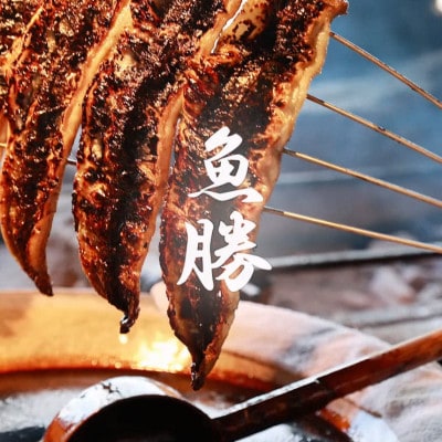 三河一色産うなぎ蒲焼　6尾〈計約960g〉【配送不可地域：離島】