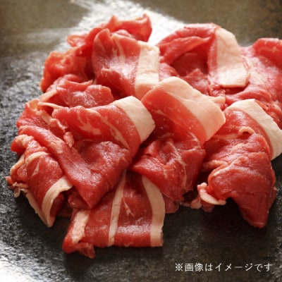 飛騨牛5等級 切り落とし500g　FTA195【配送不可地域：離島】