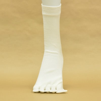 正活絹 冷えとり靴下 シルク5本指 4足セット(Lサイズ)