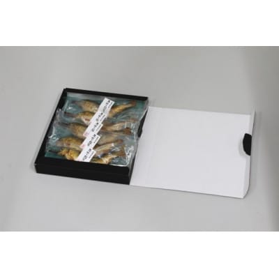 子持ち鮎塩焼き　70g×5尾【配送不可地域：離島】