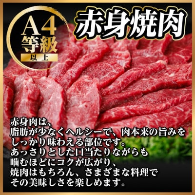 飛騨牛 赤身(焼肉・BBQ用) 約400g【冷蔵便】A4～A5等級 黒毛和牛【配送不可地域：離島】