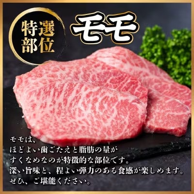 飛騨牛 もも肉ブロック 約1kg(約500g×2)【冷蔵便】A4～A5等級 黒毛和牛 BBQ用【配送不可地域：離島】