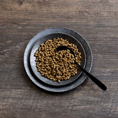 国産ドッグフード 国産鹿肉使用 ドライタイプ  560g