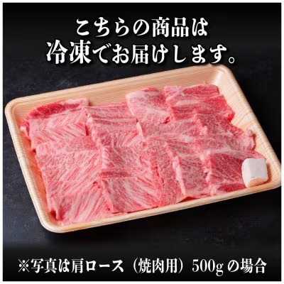 飛騨牛　厳選肩ロース・赤身(焼肉・BBQ用)500g　小分け　黒毛和牛　A4～A5等級【配送不可地域：離島】