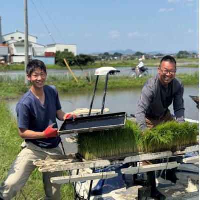 令和7年産 岐阜県羽島市産ハツシモ 玄米30kg(30kg×1袋)
