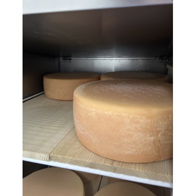 セミハードチーズ　Field　2種セット【配送不可地域：離島】